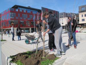 Udeleženci programa PUMO so ob 18. rojstnem dnevu programa na Vurnikovem trgu zasadili 18 dreves.